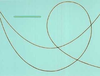 Blomstedt, Juhana: Bumerangin uni