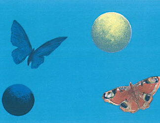 Suomi, Risto: Neitoperho