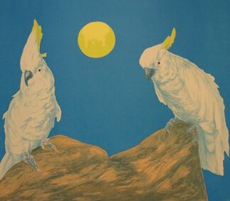 Suomi, Risto: Kuutamolla