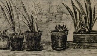 Lehtinen, Tuula: Ruukkuja