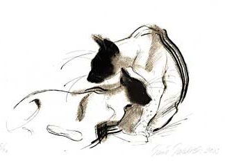 Torkkeli, Tiina: Kissa II