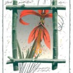 Raimo Kanerva, Jaakobin lilja