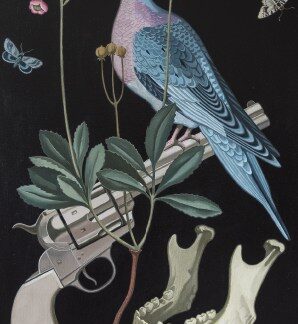 Taidepostikortti: Herbarium 4