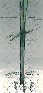 Kanerva, Raimo: Keisarin pikarililja I