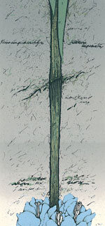 Kanerva, Raimo: Keisarin pikarililja II