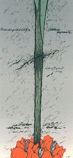 Kanerva, Raimo: Keisarin pikarililja III