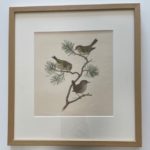 Ferninand von Wright, käsin väritetty vedos