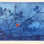 Johanna Koistinen, Kiulukka