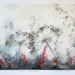 Kaisa-Tuulia Tuomi, Unelmia vapaudesta