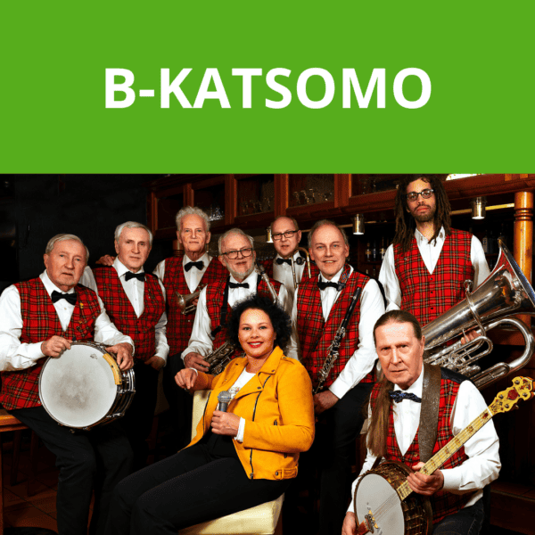 Alvi's Dixie Stompers