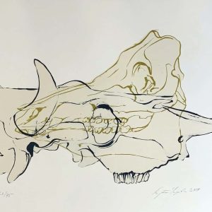 Tapiola, Marjatta: Kaksi kalloa