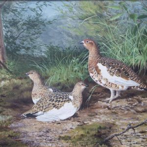 Taidepostikortti (iso): Riekkoja