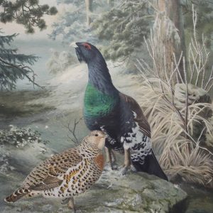 Taidepostikortti (iso): Metsoja