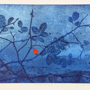 Koistinen, Johanna: Kiulukka I