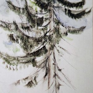 Joulukortti A6: Kuusi (Aimo Kanerva)