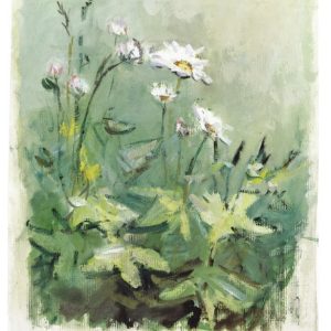 Adressi: Kesäheinä