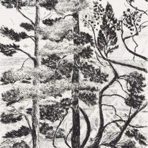 Krohn, Inari: Mäntyjen alla