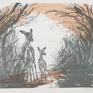 Saarikoski, Lumi: Koulutie