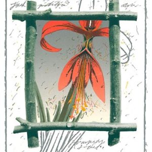 Kanerva, Raimo: Jaakobin lilja (kehystetty)