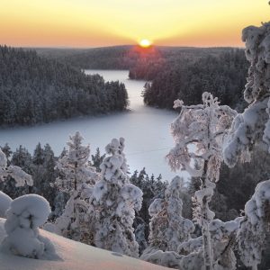 Joulukortti A6: Repoveden talvi