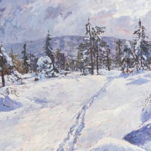 Joulukortti A6: Erämaan kutsu