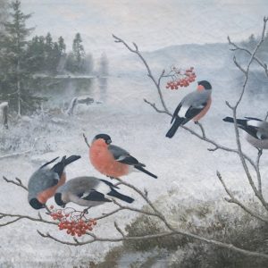 Joulukortti A6: Punatulkut