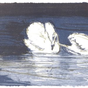 Mikkonen, Tapani: Kahden