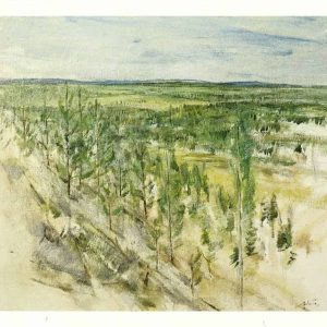 Taidepostikortti (iso): Pohjois-karjalainen maisema