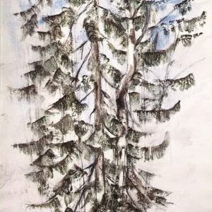 Taidepostikortti A6: Kuuset (Kanerva)