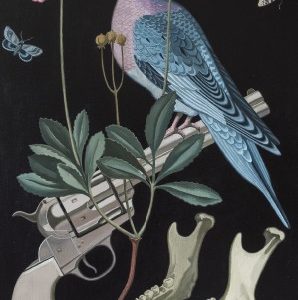 Taidepostikortti: Herbarium 4