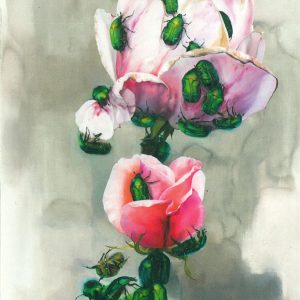 Taidepostikortti : Kulkue