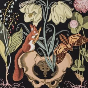 Taidepostikortti (neliö): Herbarium III