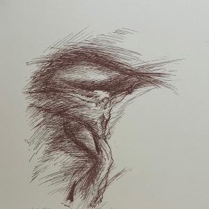 Pullinen, Laila: Tie, totuus ja elämä