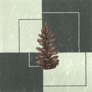 Parviainen, Pekka: A Priori