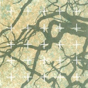 Parviainen, Pekka: Dualismi