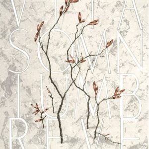 Parviainen, Pekka: Vita somnium breve