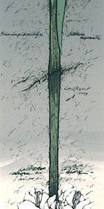 Kanerva, Raimo: Keisarin pikarililja I