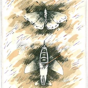 Kanerva, Raimo: Sarjasta vaihtoehtoja