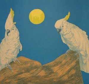 Suomi, Risto: Kuutamolla