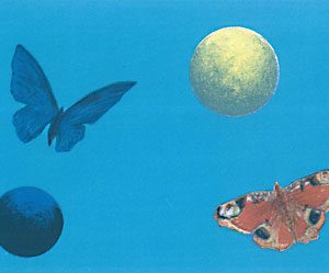 Suomi, Risto: Neitoperho