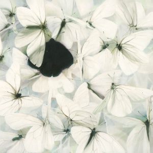 Taidepostikortti (taitettu): Opas