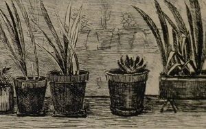 Lehtinen, Tuula: Ruukkuja