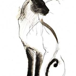 Torkkeli, Tiina: Kissa I