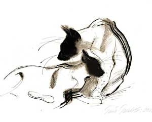 Torkkeli, Tiina: Kissa II