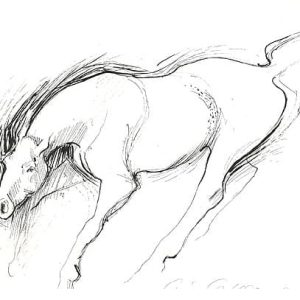 Torkkeli, Tiina: Laitumella