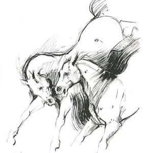 Torkkeli, Tiina: Takapotku