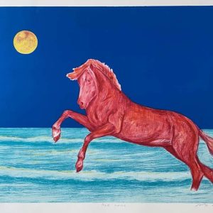 Suomi, Risto: Red horse