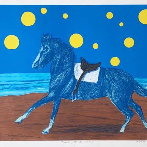 Suomi, Risto: Tuulisella rannalla